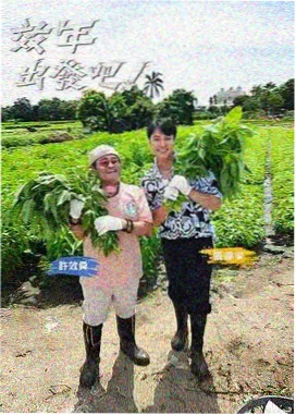 暖灰棚拍综艺图鉴封面 统一背景与升降机位示意